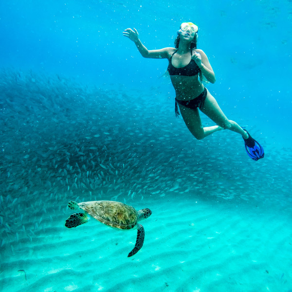 Curaçao curacao tropical adventures