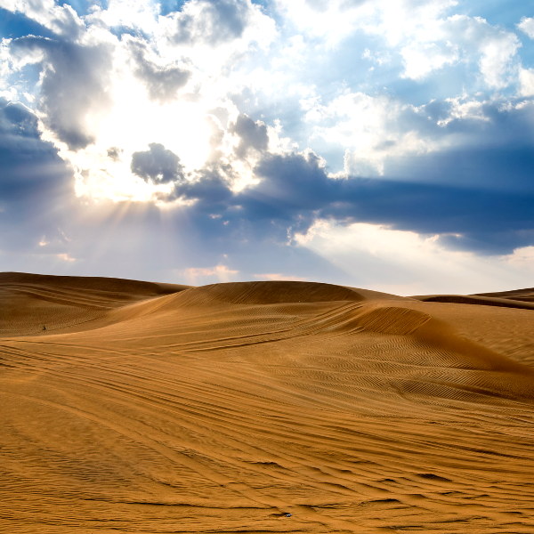 Dammam dammam surreal landscape