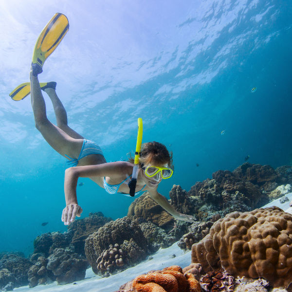 Daydream Island daydream-snorkelling