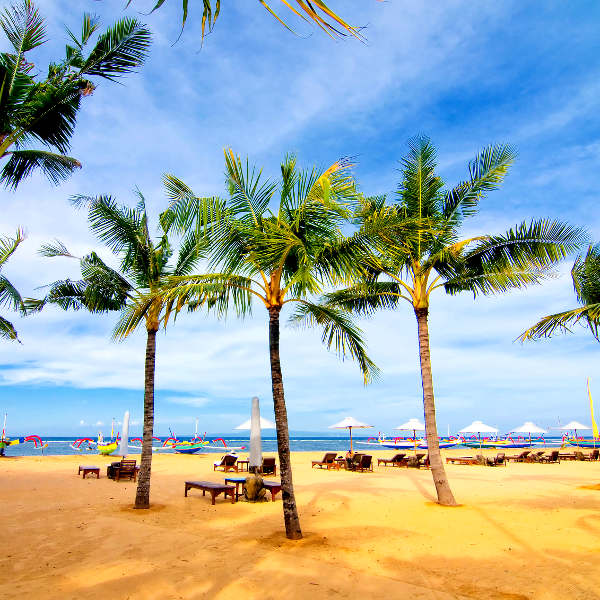 Denpasar denpasar tropical landscape