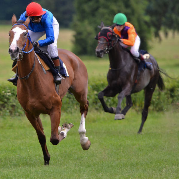 Derry Horse Racing