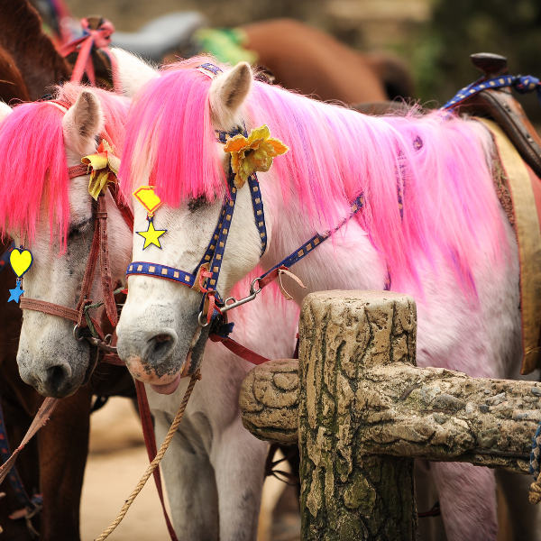 Des Moines white pony pink hair