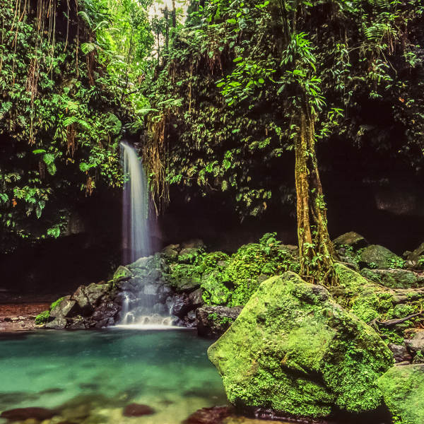Dominica dominica heavenly nature