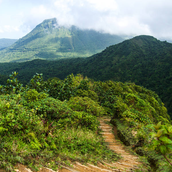 Dominica dominica waitukubuli trail