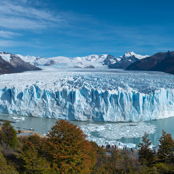 El Calafate glacier trees