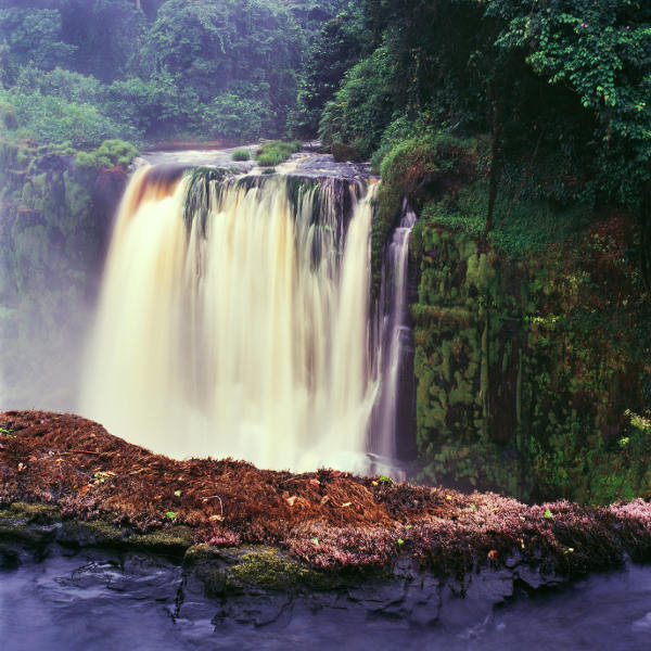 Equatorial Guinea jungle trekking