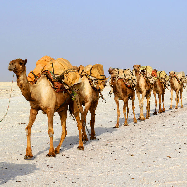 Eritrea eritrea unique experiences
