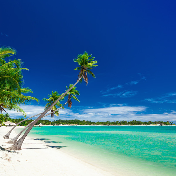 Fiji Plantation Island Fiji