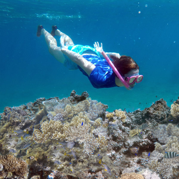 Fiji Snorkelling Fiji