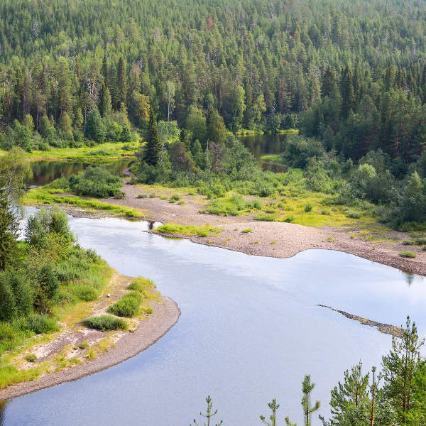 Finland Finland Nature