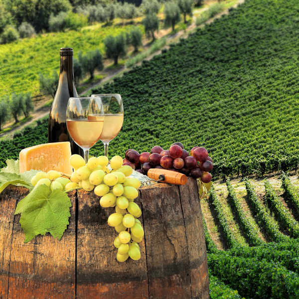 Florence sumptuous cuisine