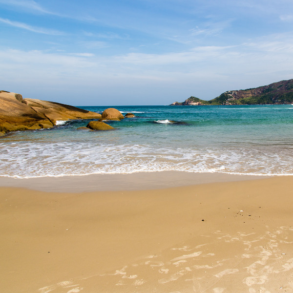 Florianópolis florianopolis mole beach
