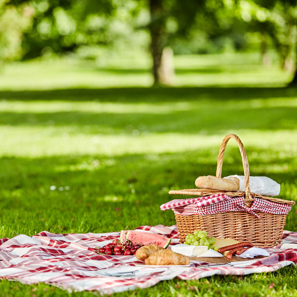Fort Myers picnic basket green grass
