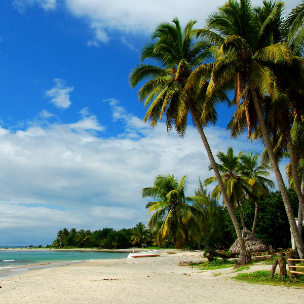 Freetown freetown beaches