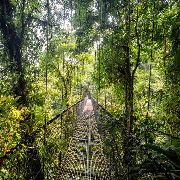 Guyana guyana wild adventures
