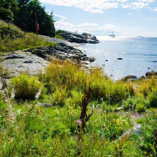 Helsinki helsinki nature shoreline