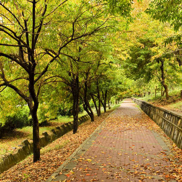 Islamabad nature and parks