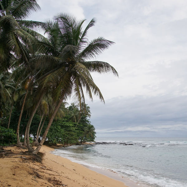 Ivory Coast golden-beaches-ivory-coast