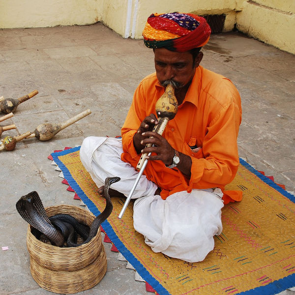 Jaipur jaipur experiences