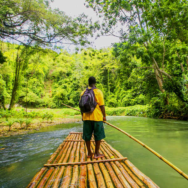 Jamaica jamaica surreal experiences