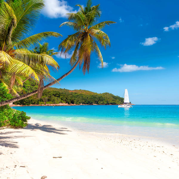Jamaica jamaica tropical landscapes