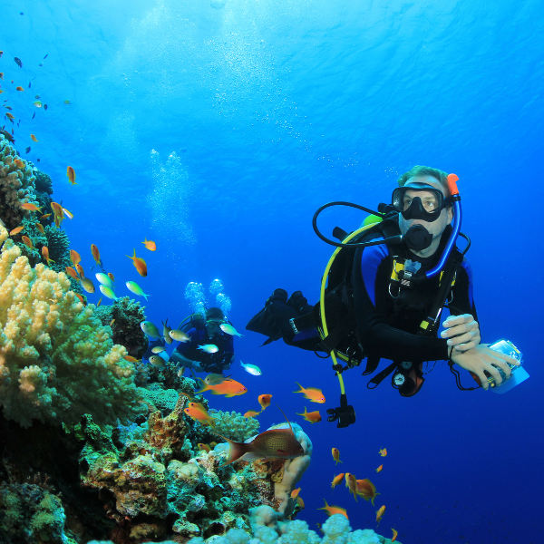 Jeddah outdoor activities