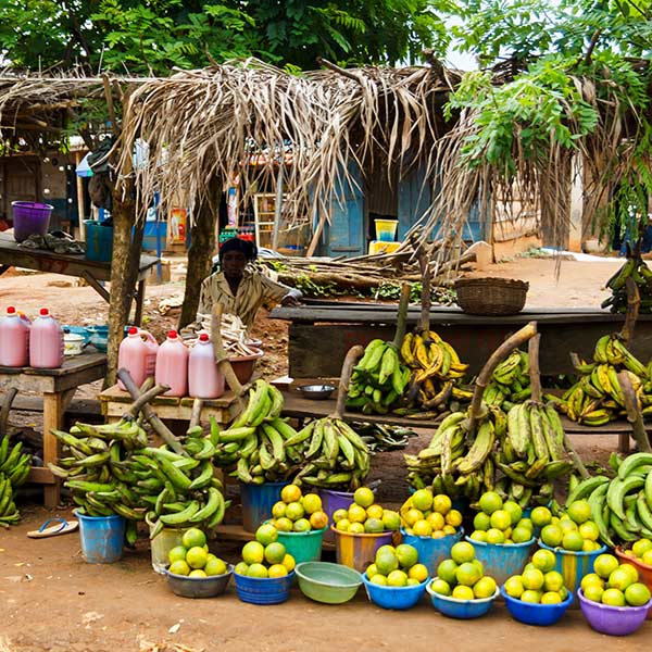 Kano markets