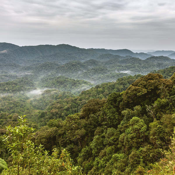 Kigali nature