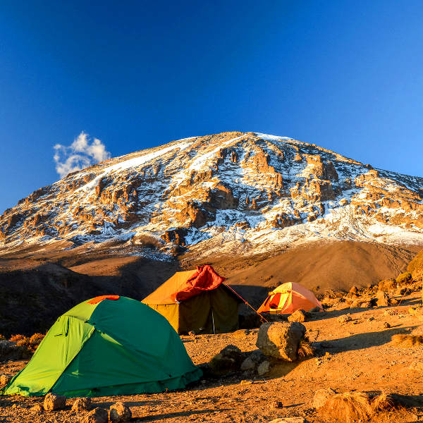 Kilimanjaro kilimanjaro mount