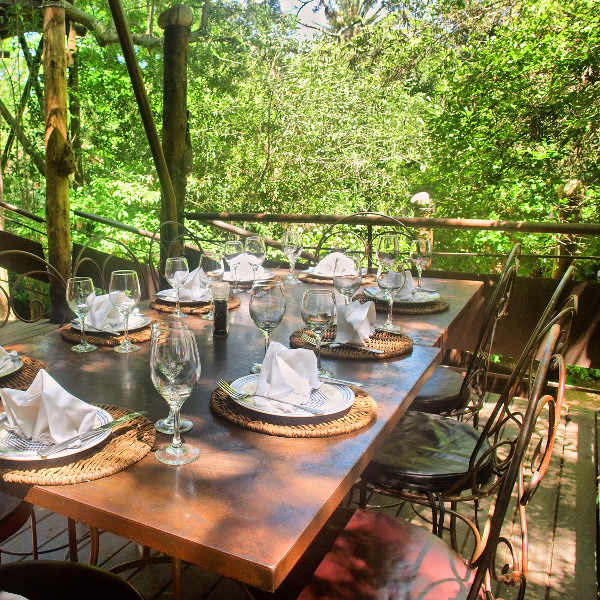 Kilimanjaro kilimanjaro restaurant
