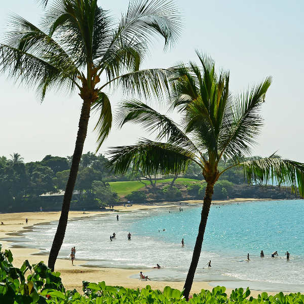 Kona incredible beaches