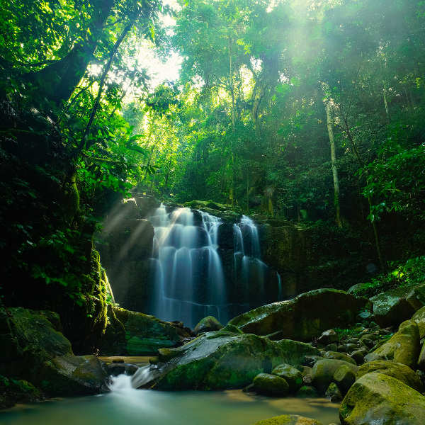 Kota Kinabalu culture and nature trails
