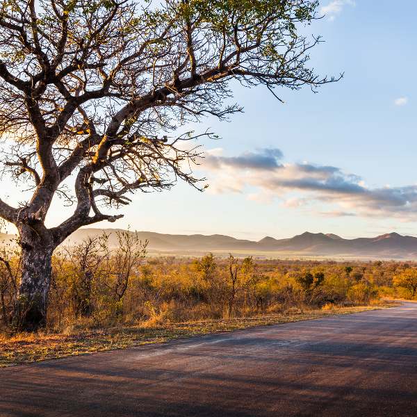 Kruger National Park Kruger National Park Scenery