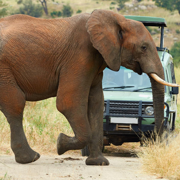 Kruger National Park Kruger National Park Outdoor Activities