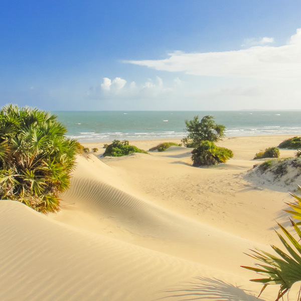 Lamu Lamu Shela Beach