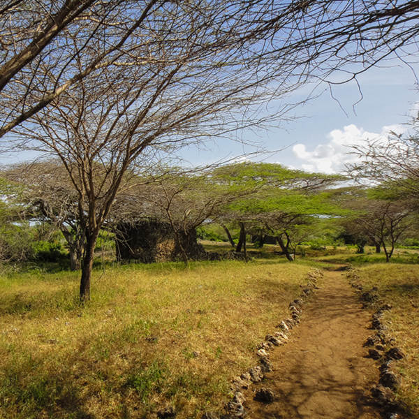 Lamu Lamu Nature
