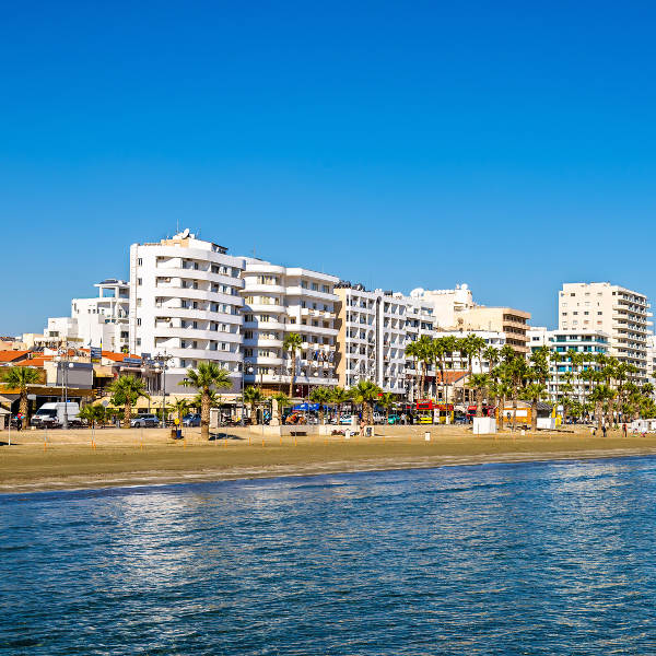 Larnaca palm tree beachfront
