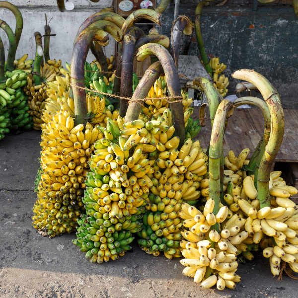 Liberia bananas