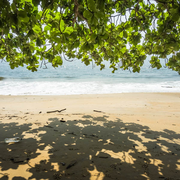 Libreville leaves on beach