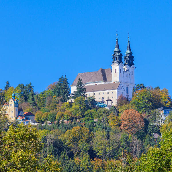 Linz trees and castle