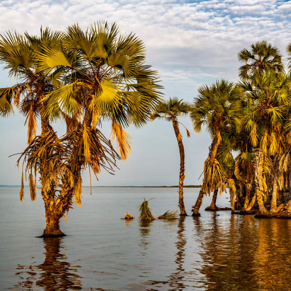 Lodwar Lake turkana lodwar