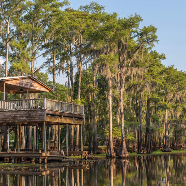 Louisiana louisiana swamps and bayous