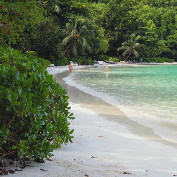 Mahé Beach on Mahe