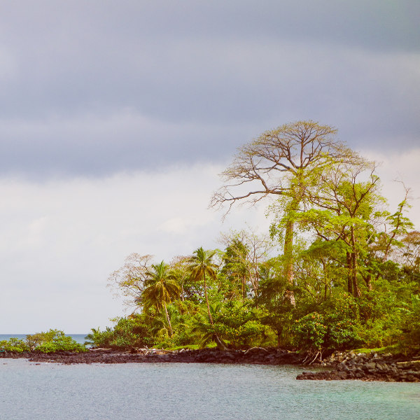Malabo nature