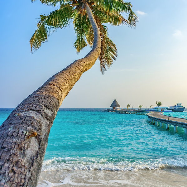 Maldives Maldives Beach