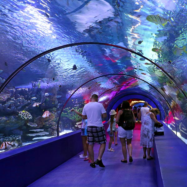 Manchester Underwater tunnel at Manchester Sea Life Centre England with marine creatures