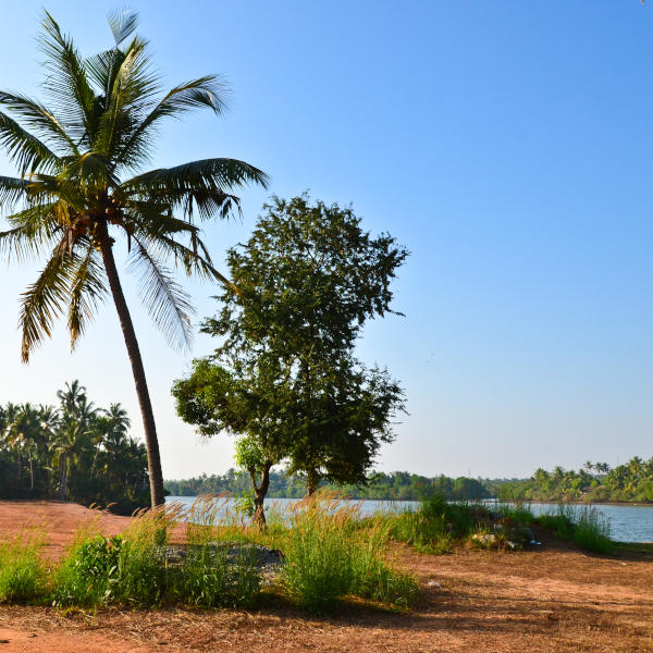 Mangalore A serene scene at Shambhavi River near Mangalore