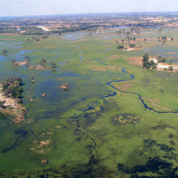 Maun Helicopter View Okavango Delta Maun