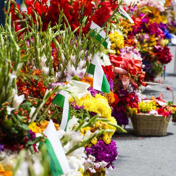 Medellin medellin festival of flowers