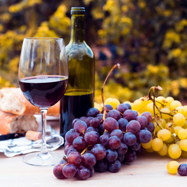 Mendoza mendoza wine